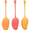 Set Training Kegel Mango Multicolor